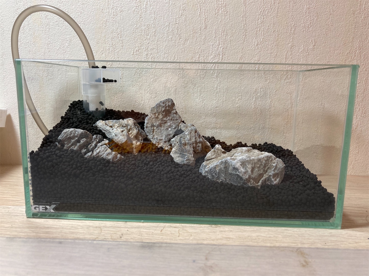 f:id:soocersunny32:20220306200544j:image f:id:soocersunny32:20220306200544j:image