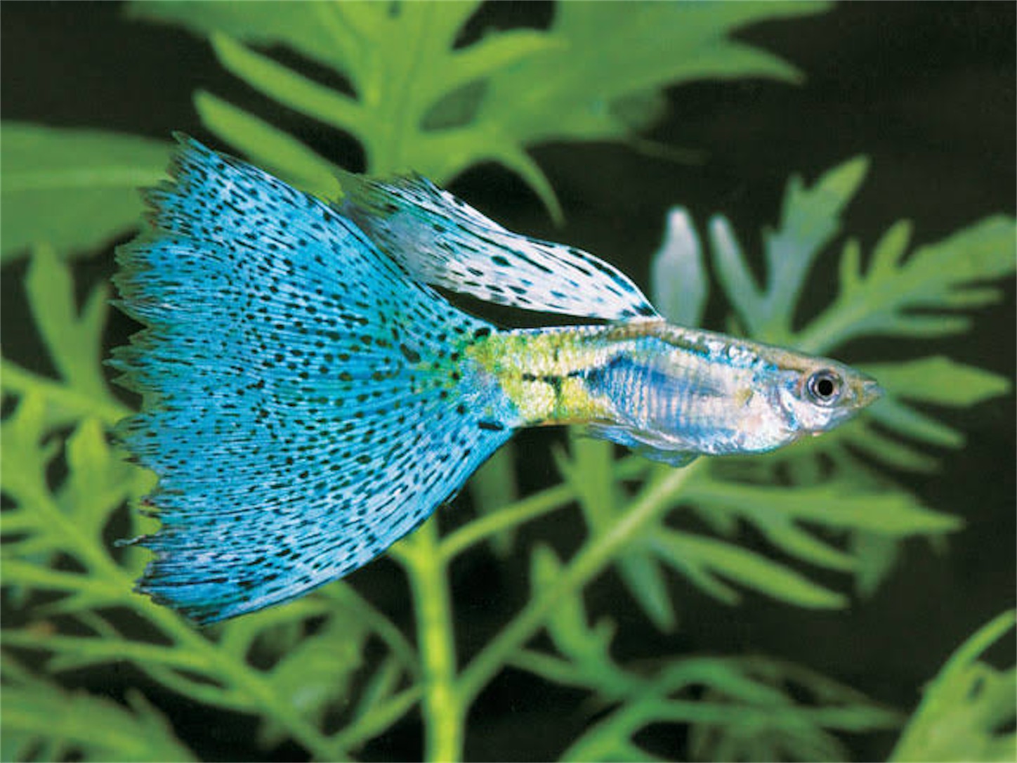 f:id:soocersunny32:20220310225454j:image