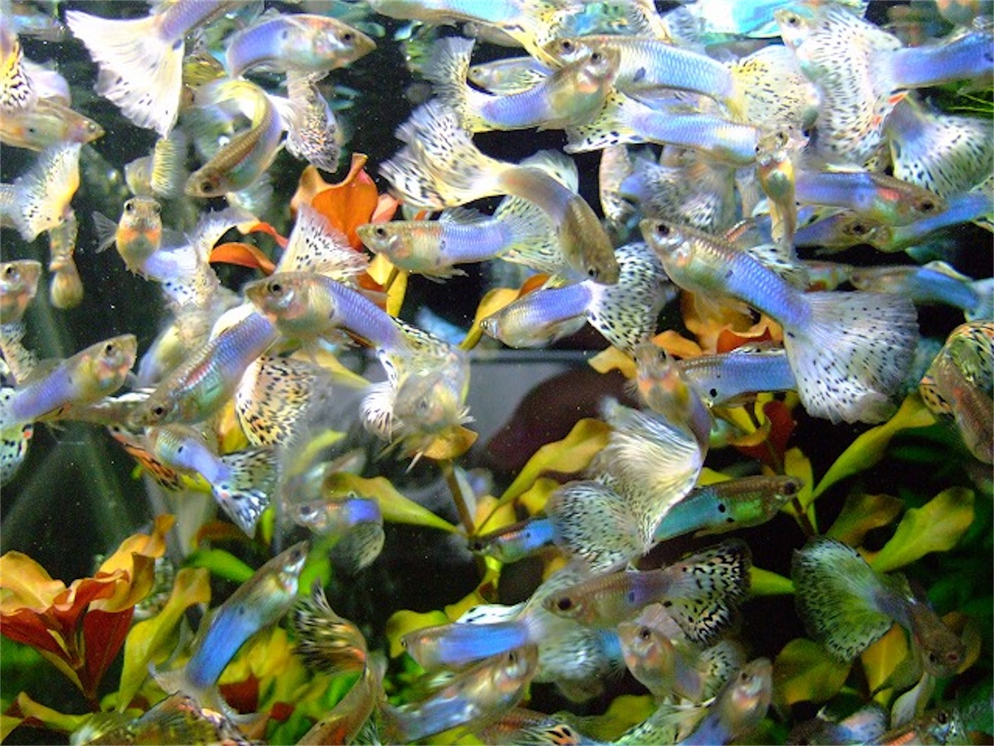 f:id:soocersunny32:20220310225728j:image