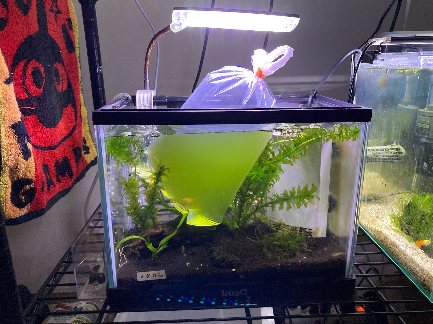 f:id:soocersunny32:20220404203509j:image