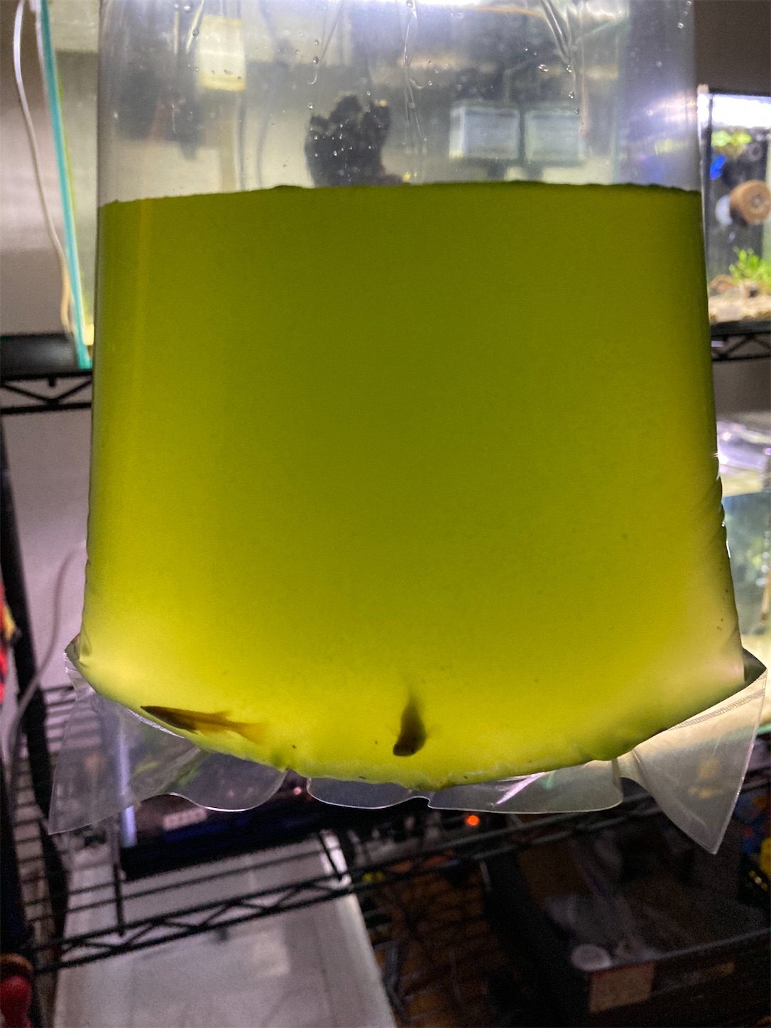 f:id:soocersunny32:20220404203541j:image