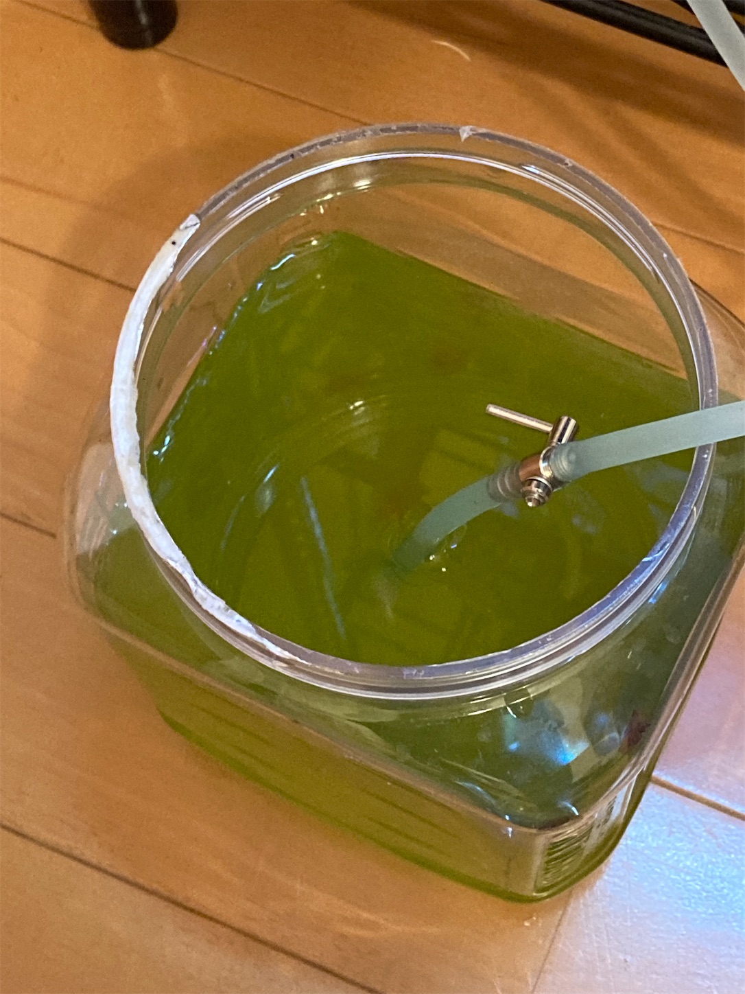 f:id:soocersunny32:20220404212620j:image