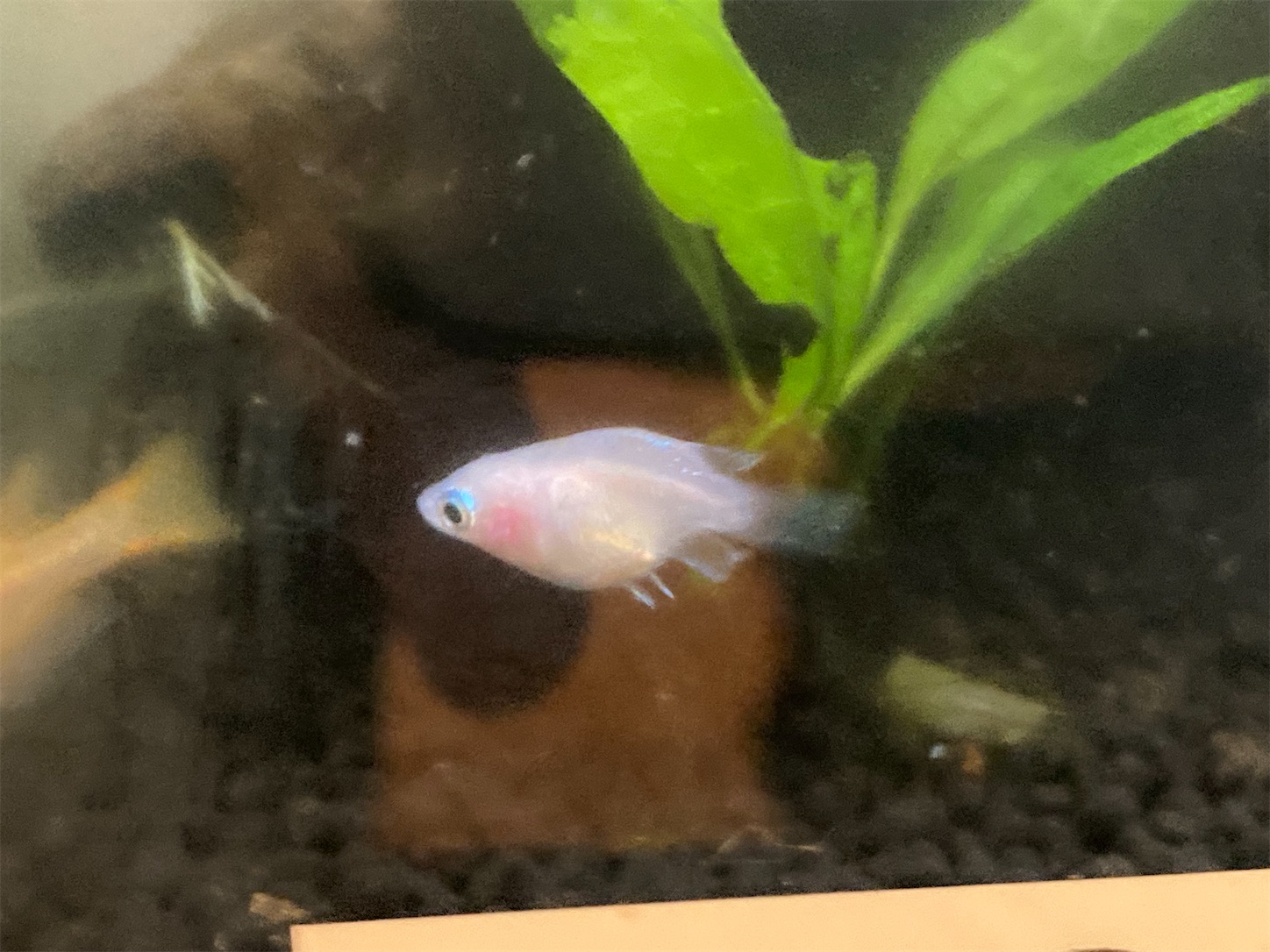 f:id:soocersunny32:20220404215703j:image