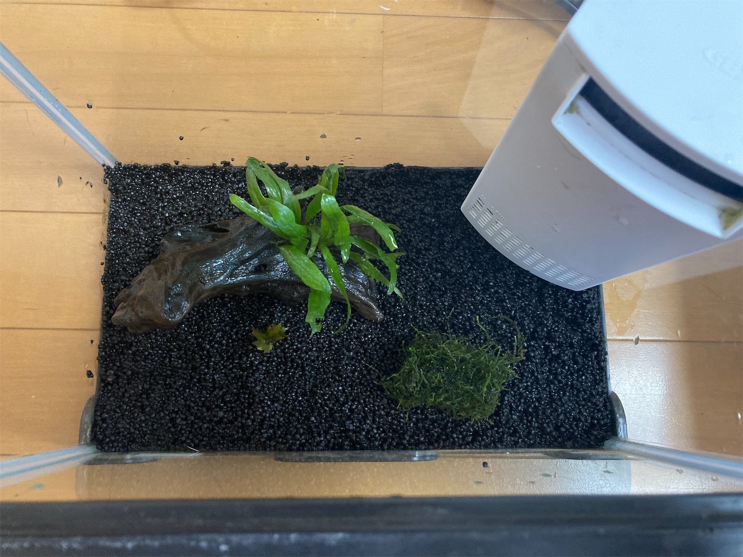 f:id:soocersunny32:20220504111035j:image