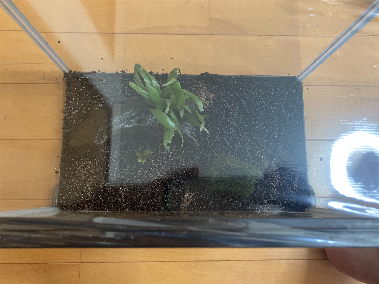 f:id:soocersunny32:20220504111159j:image