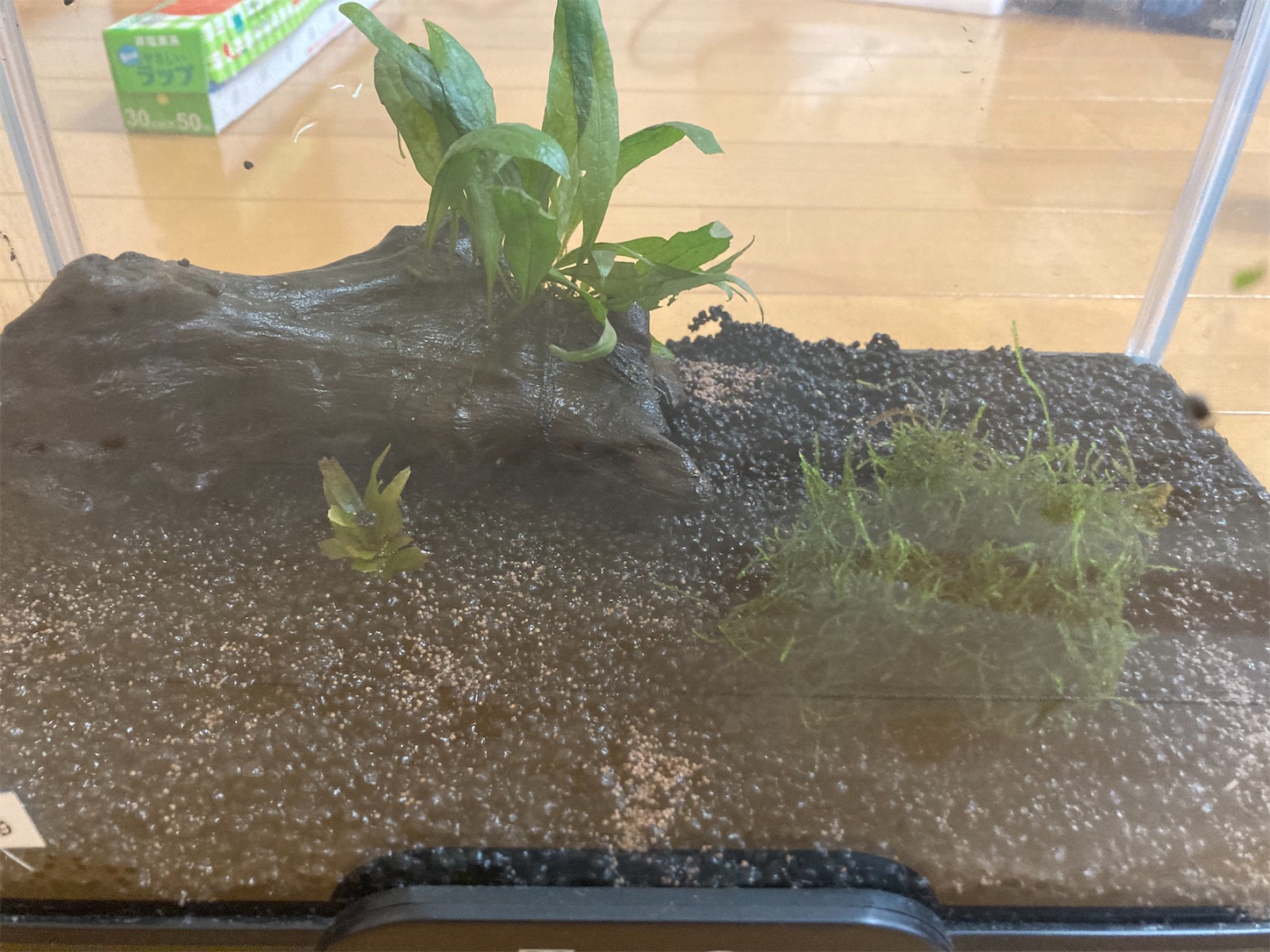 f:id:soocersunny32:20220504111213j:image