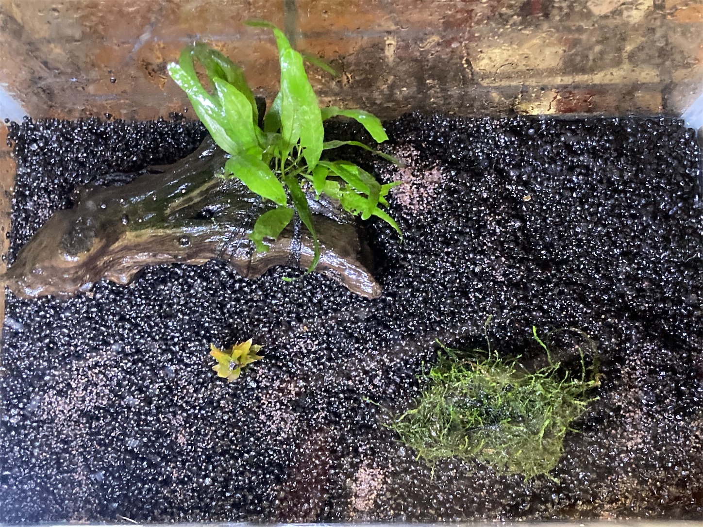 f:id:soocersunny32:20220505134059j:image