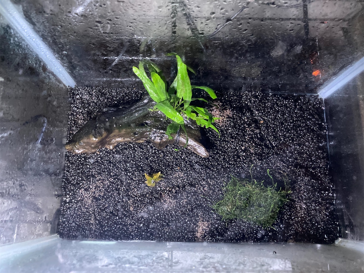 f:id:soocersunny32:20220507214441j:image