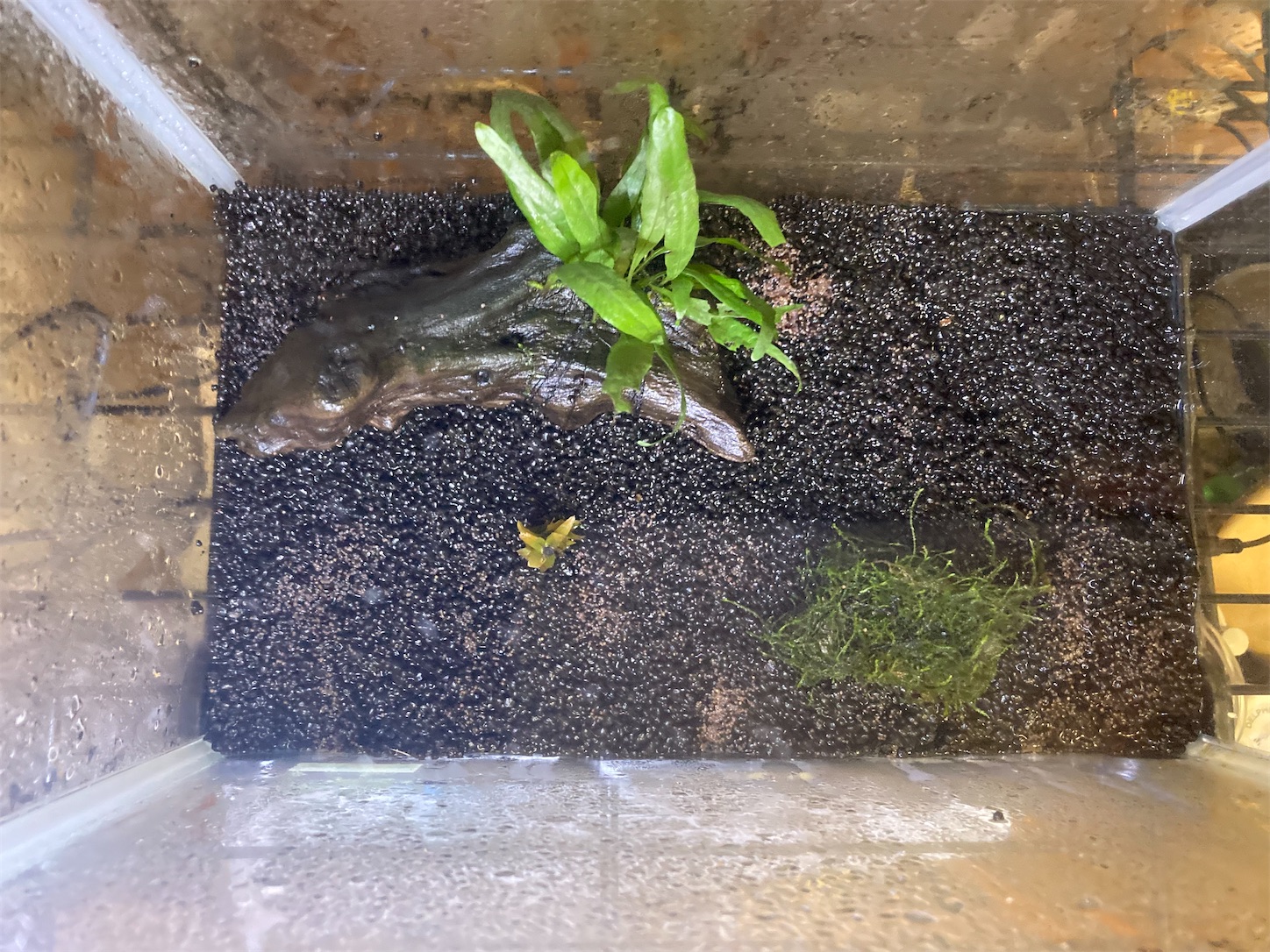 f:id:soocersunny32:20220507214449j:image