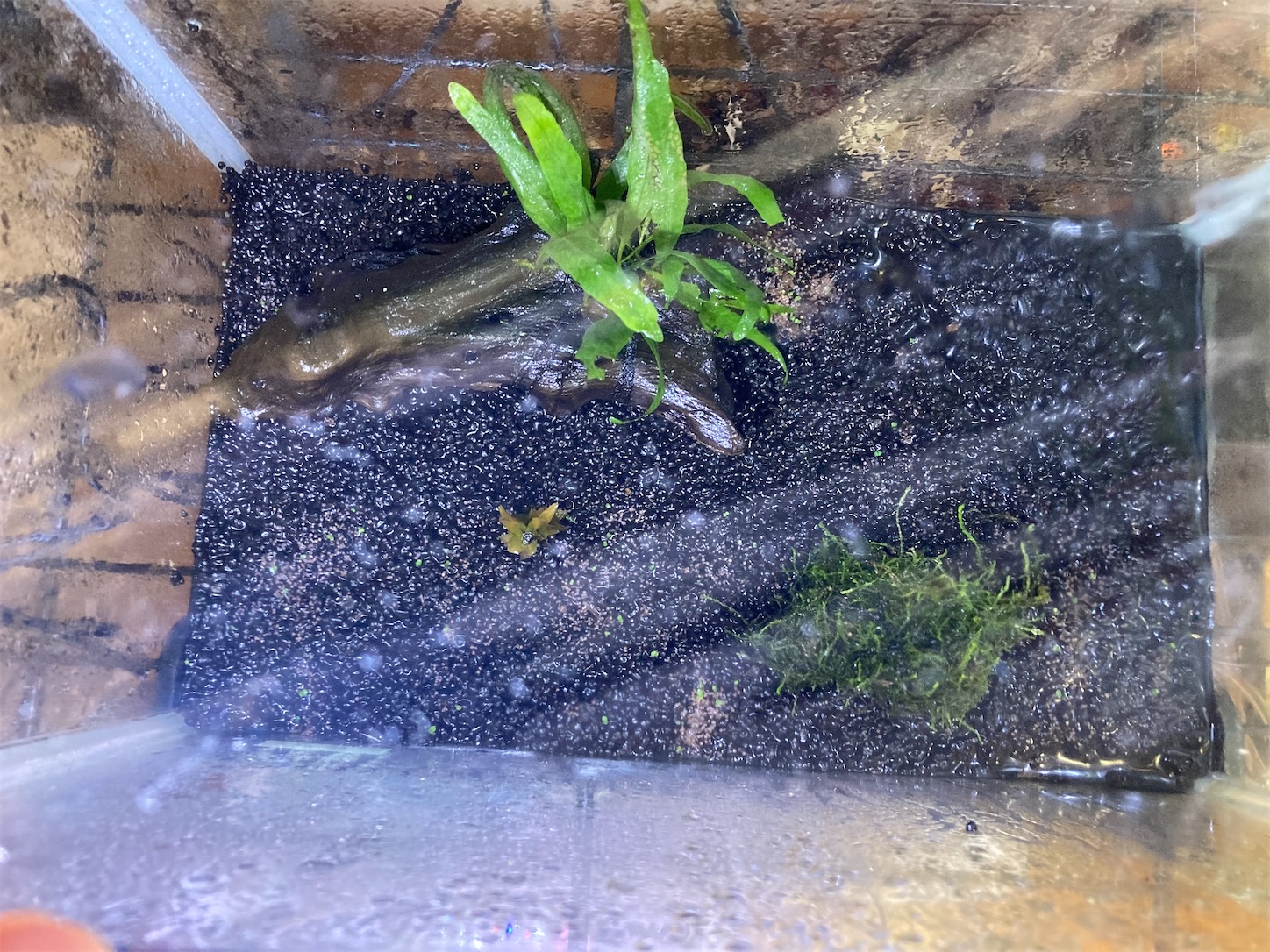 f:id:soocersunny32:20220509221737j:image