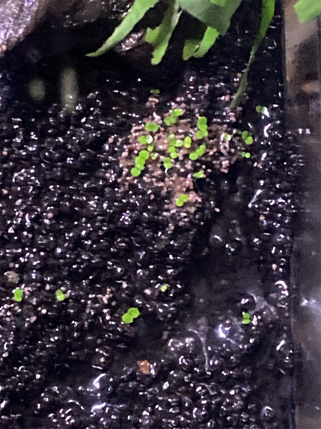 f:id:soocersunny32:20220511223644j:image