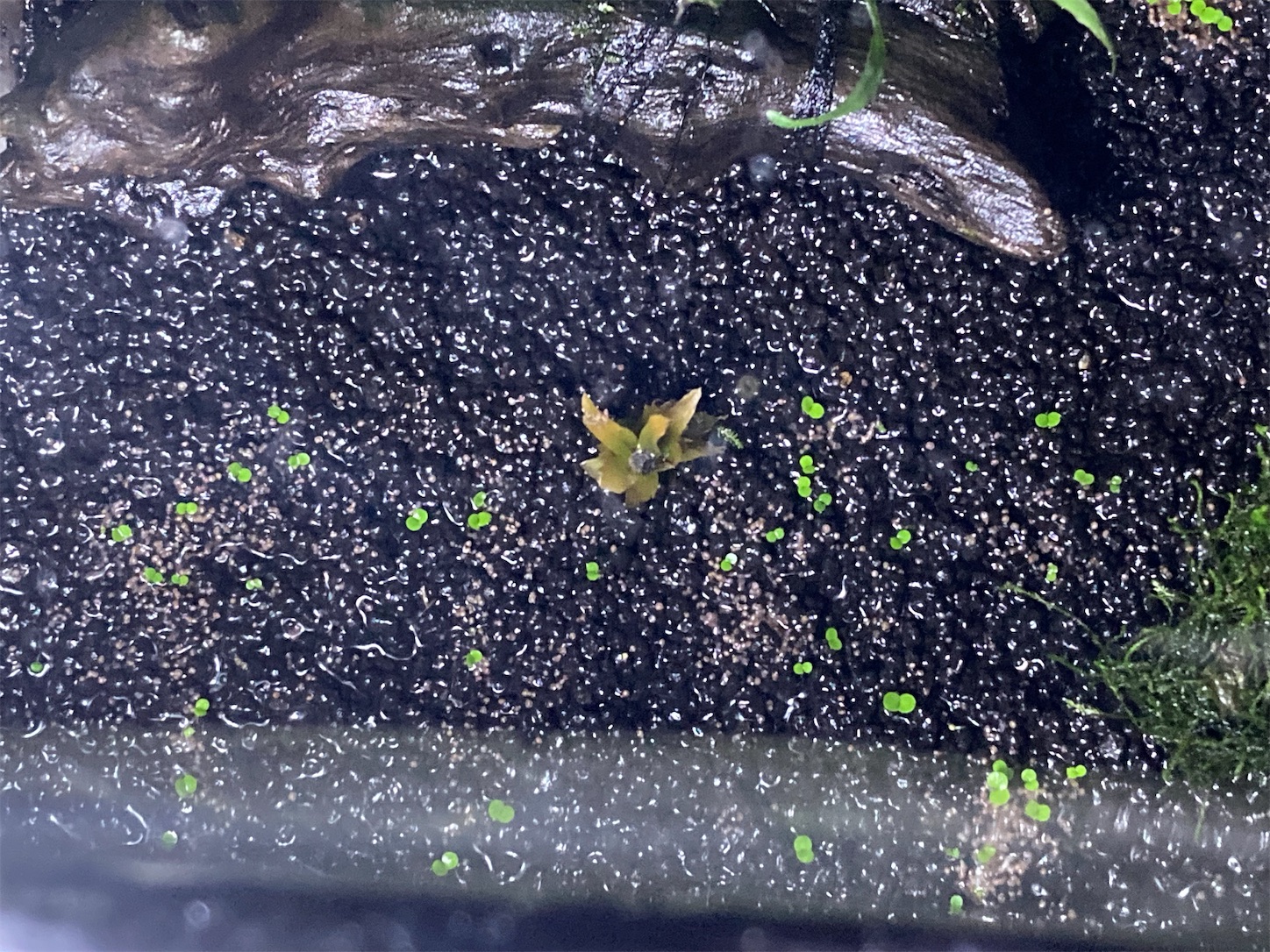 f:id:soocersunny32:20220511223700j:image