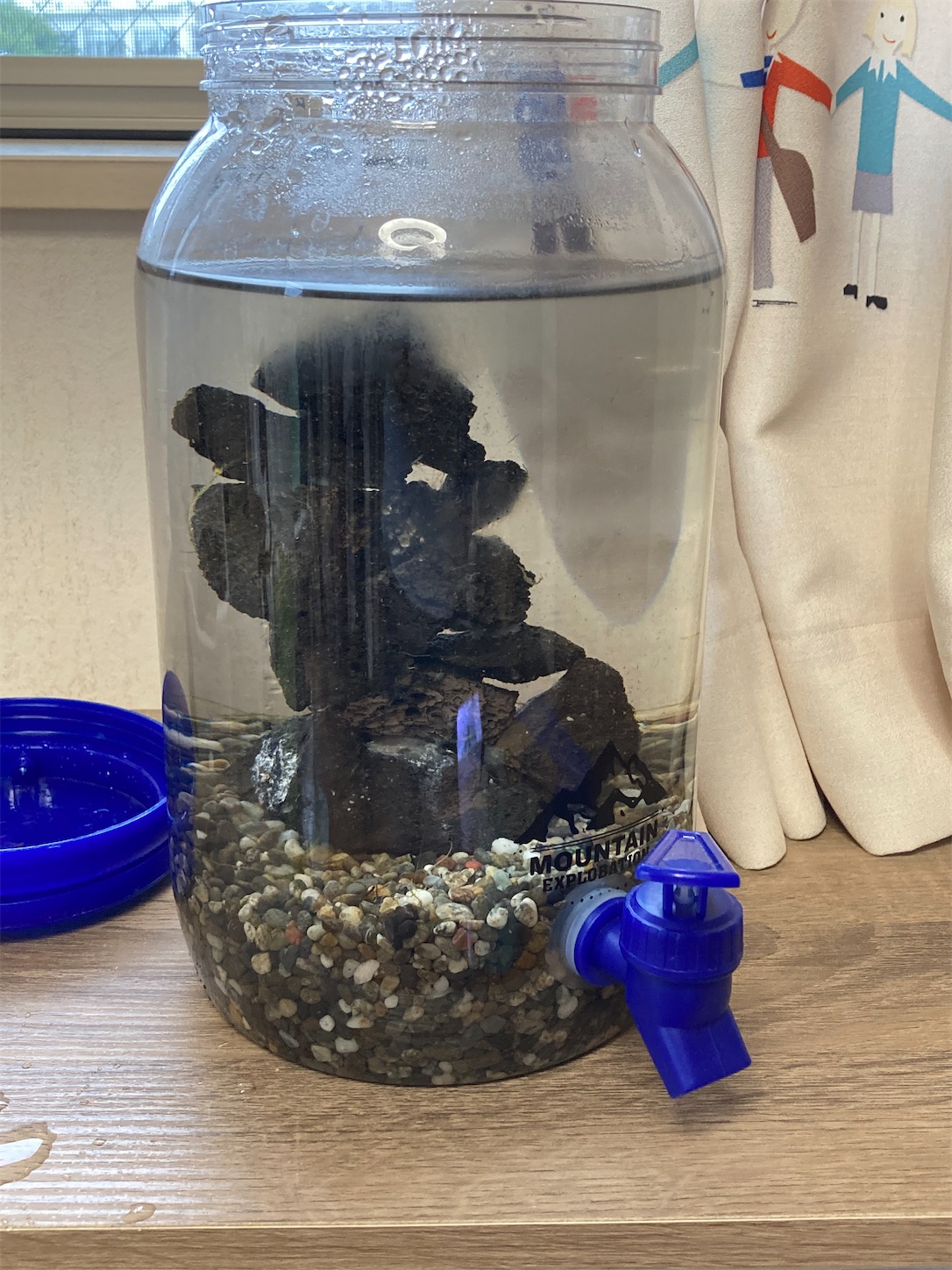 f:id:soocersunny32:20220512153305j:image