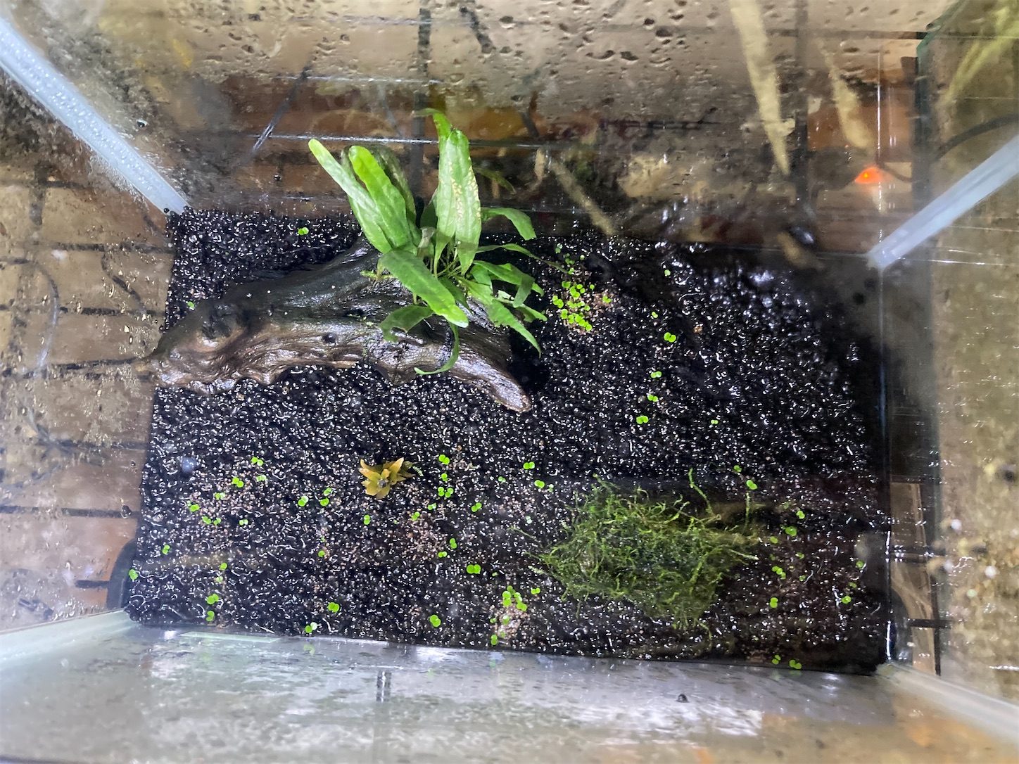 f:id:soocersunny32:20220514231351j:image