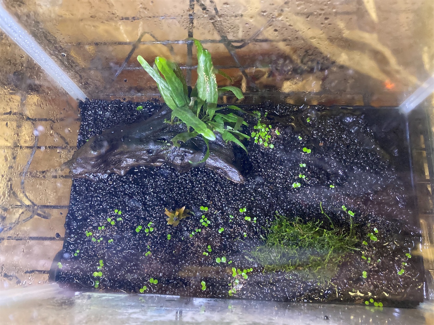 f:id:soocersunny32:20220514231612j:image