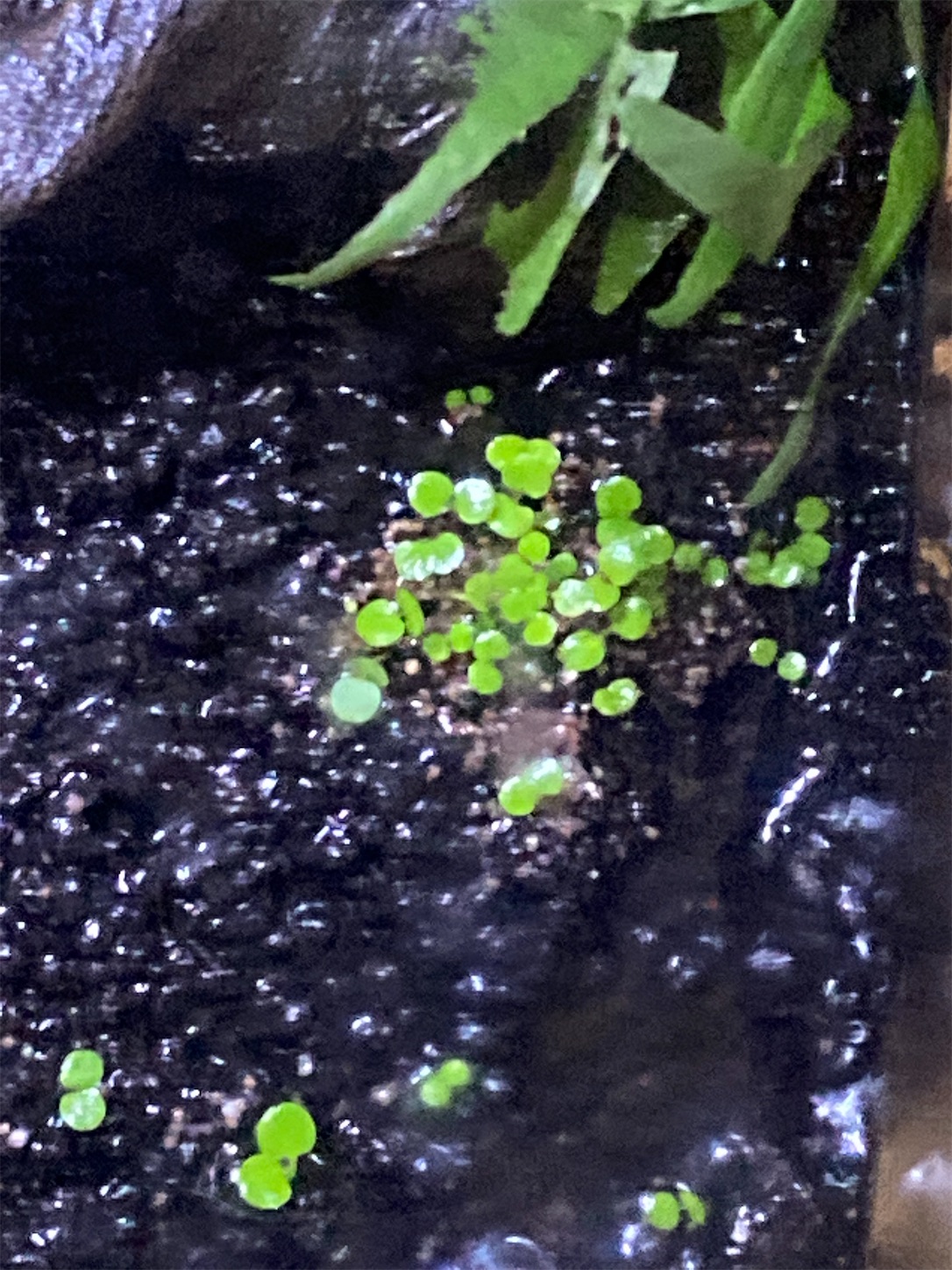 f:id:soocersunny32:20220514231636j:image