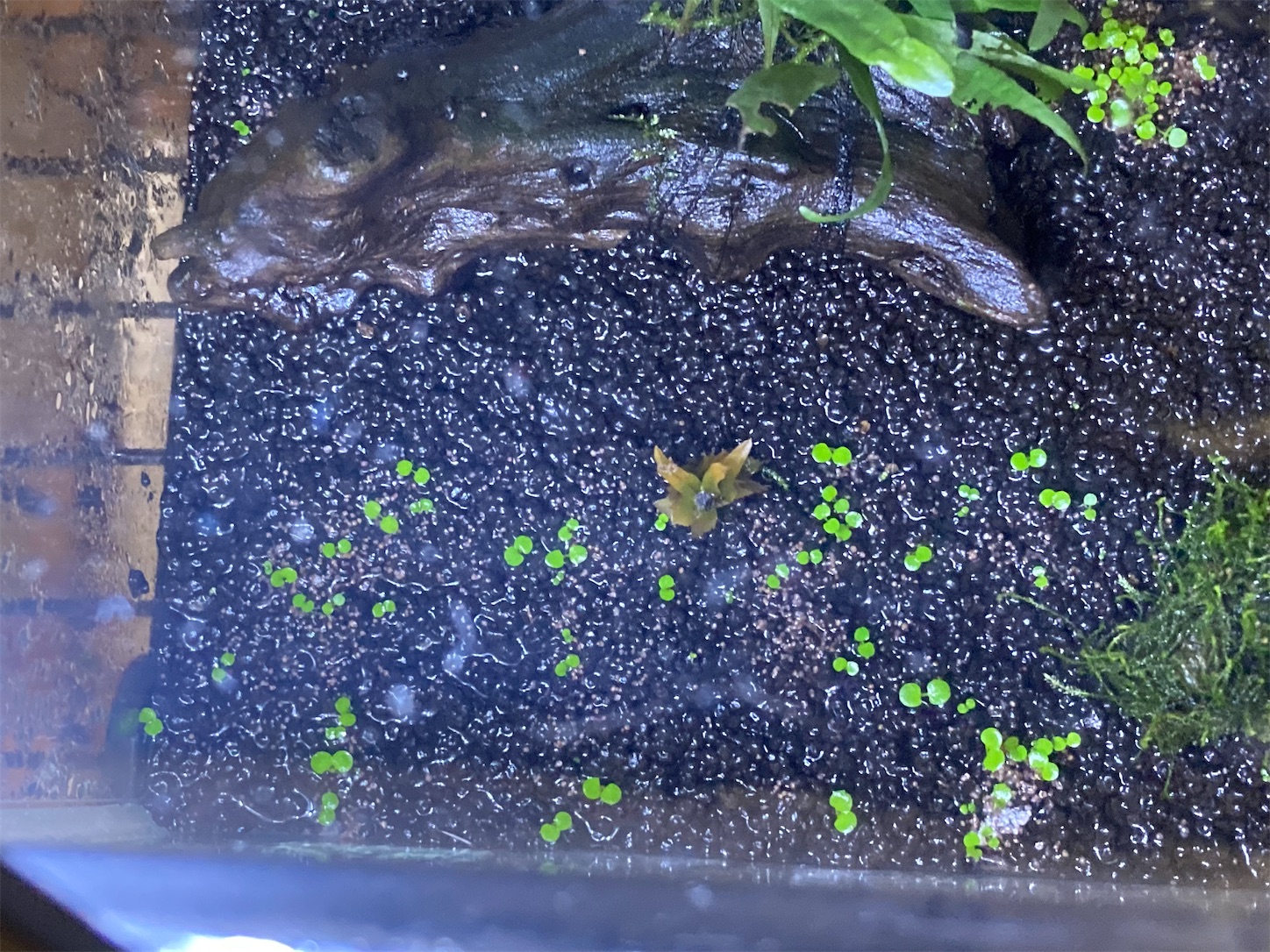 f:id:soocersunny32:20220514231643j:image