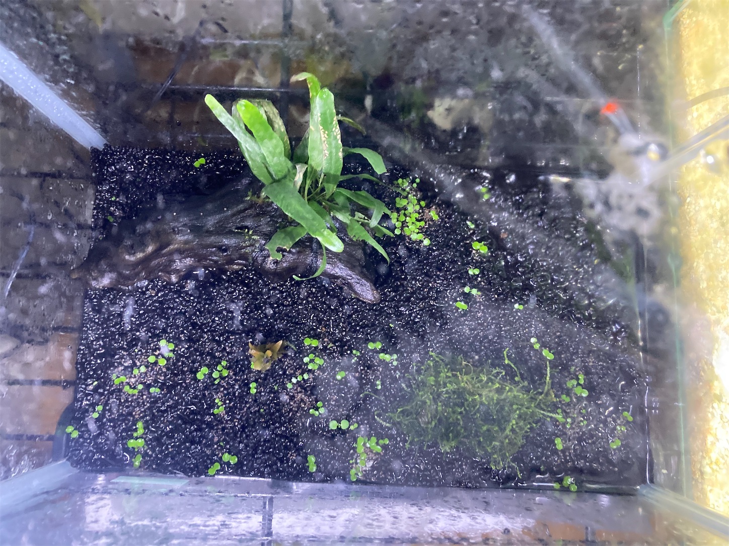 f:id:soocersunny32:20220516225355j:image