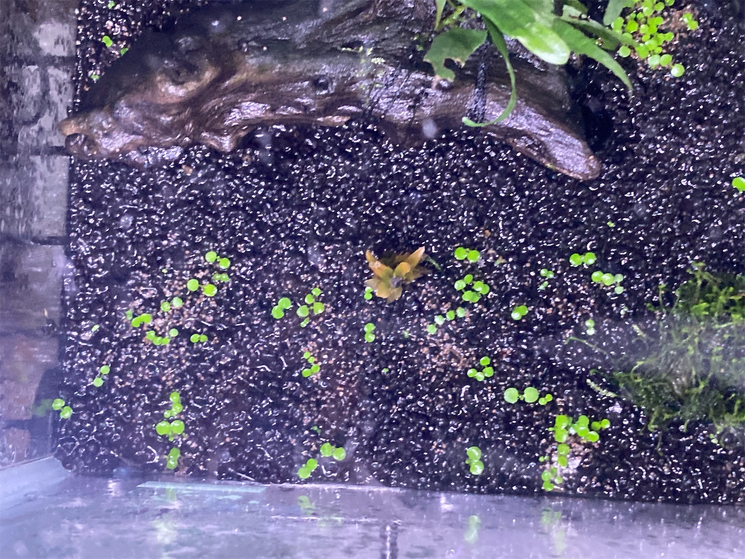 f:id:soocersunny32:20220516225420j:image