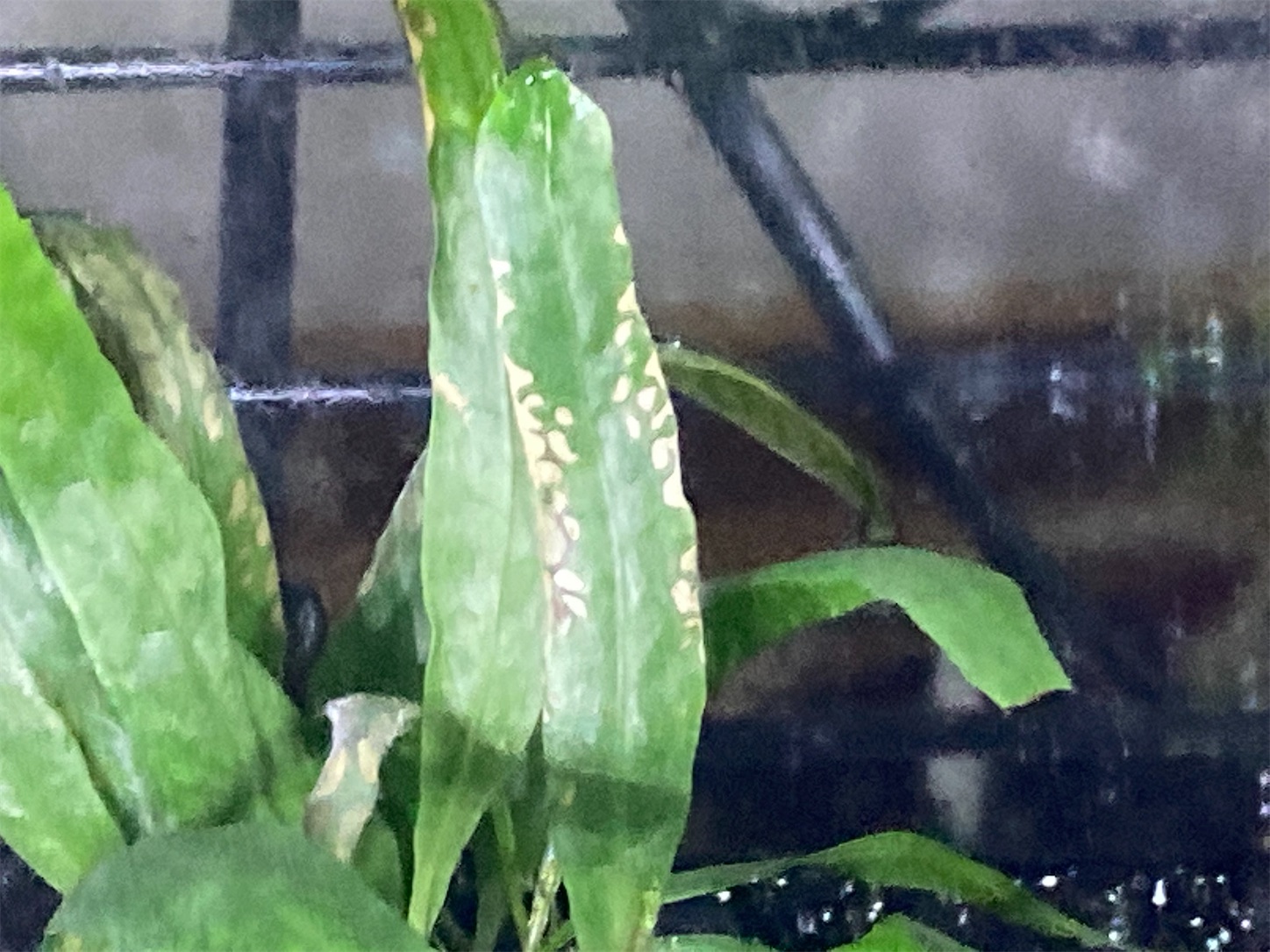 f:id:soocersunny32:20220516225431j:image