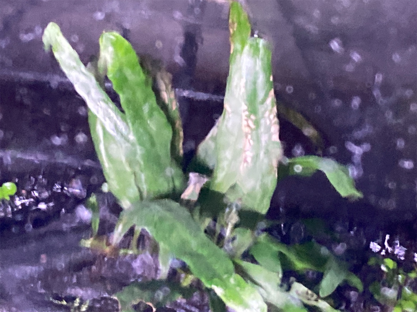 f:id:soocersunny32:20220519230600j:image