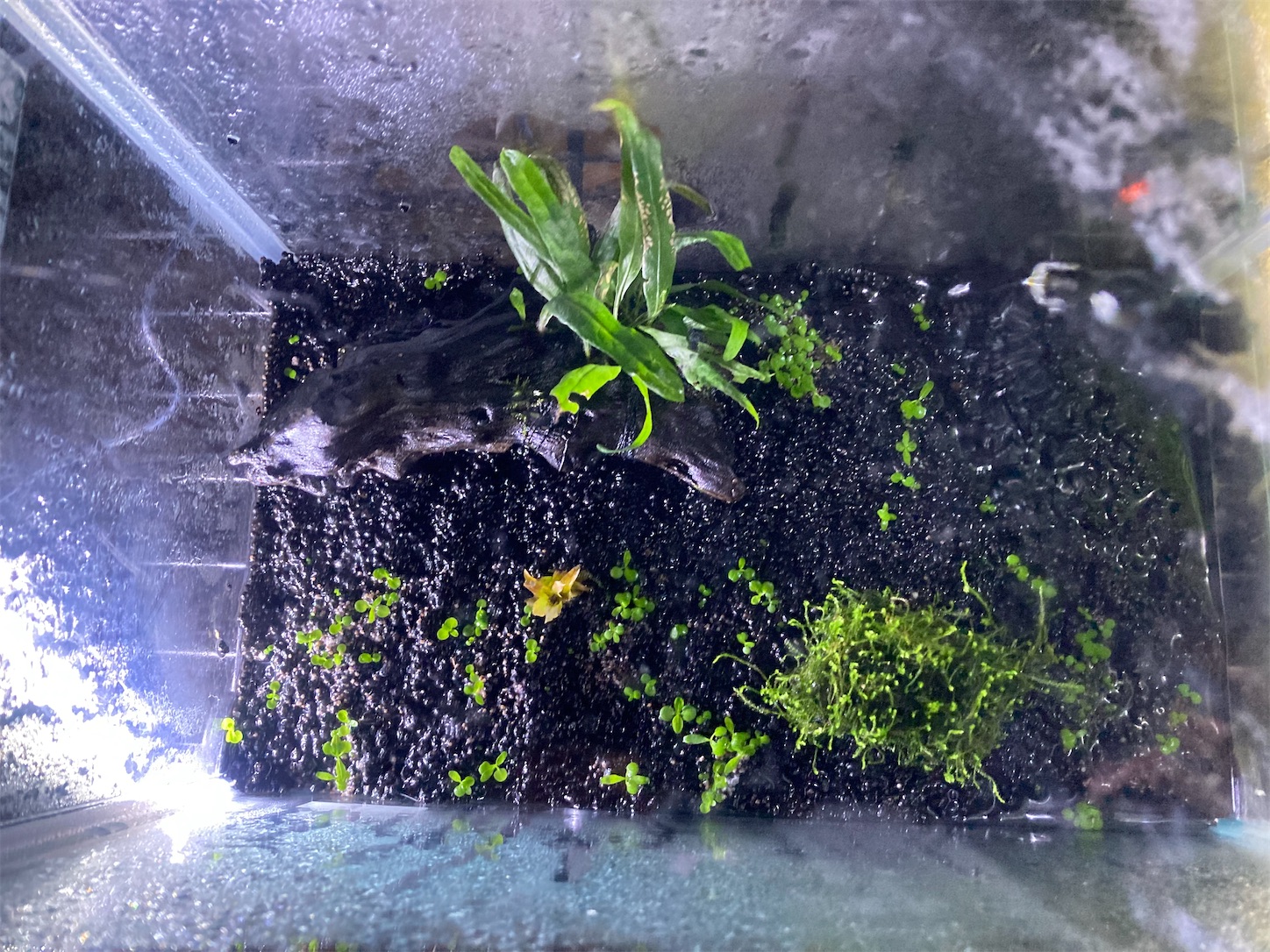 f:id:soocersunny32:20220520223936j:image