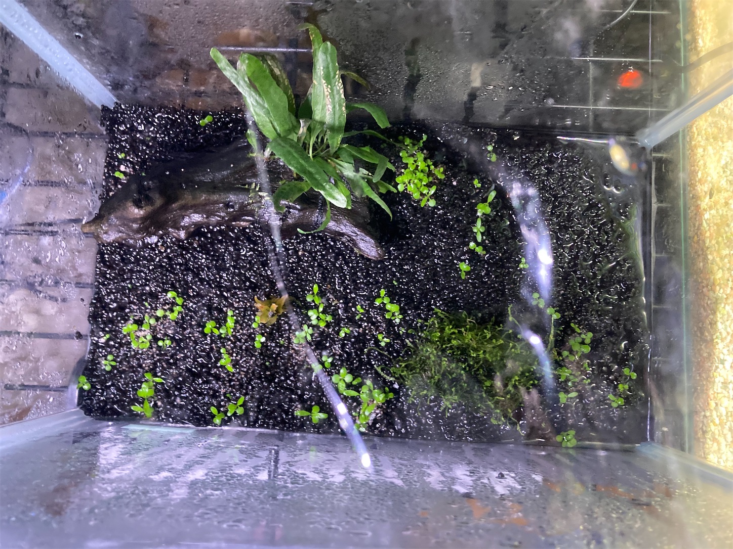 f:id:soocersunny32:20220521223544j:image