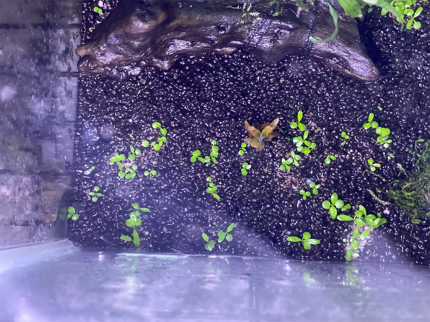 f:id:soocersunny32:20220521223600j:image