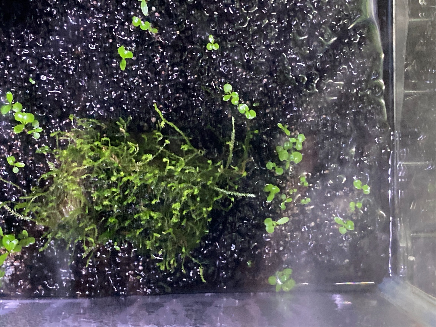 f:id:soocersunny32:20220521223612j:image