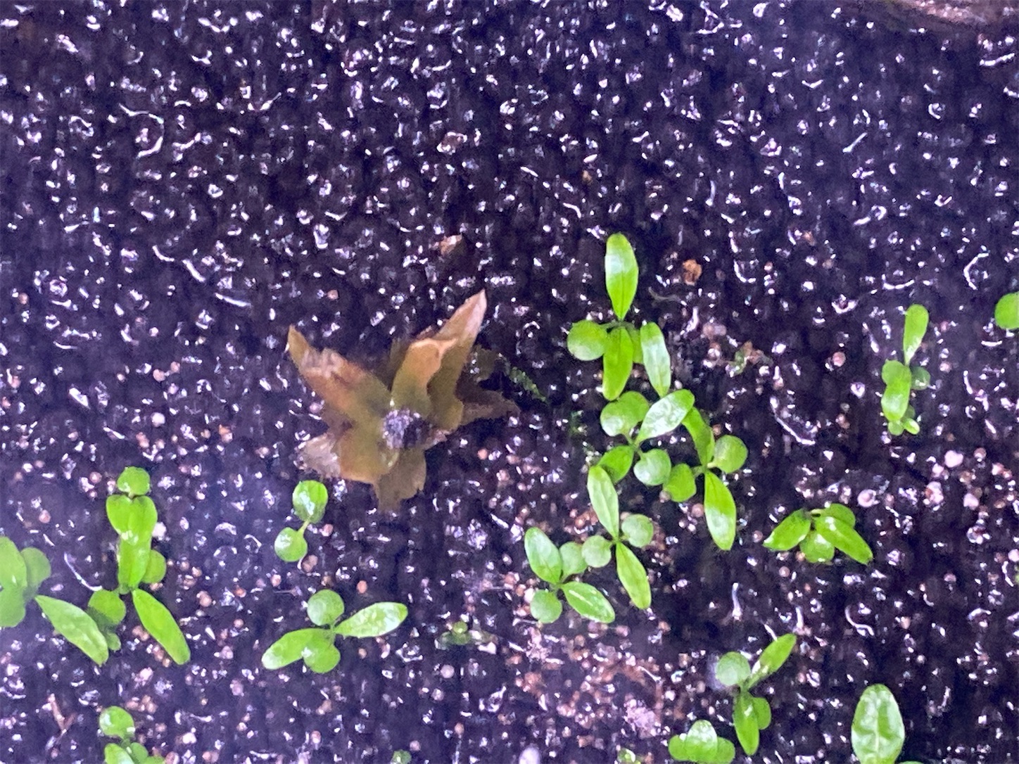 f:id:soocersunny32:20220524224025j:image