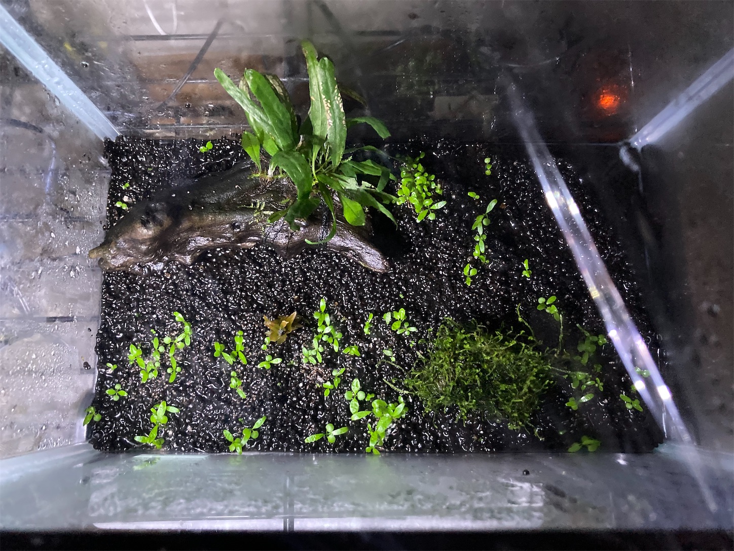 f:id:soocersunny32:20220524224211j:image