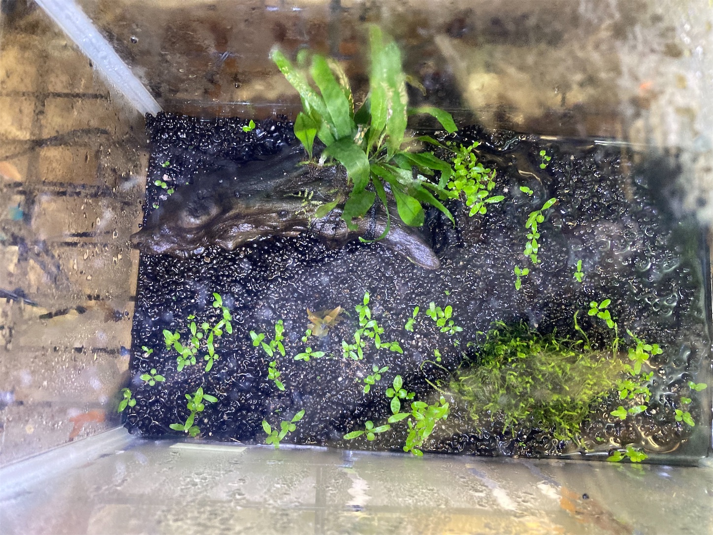 f:id:soocersunny32:20220525231544j:image