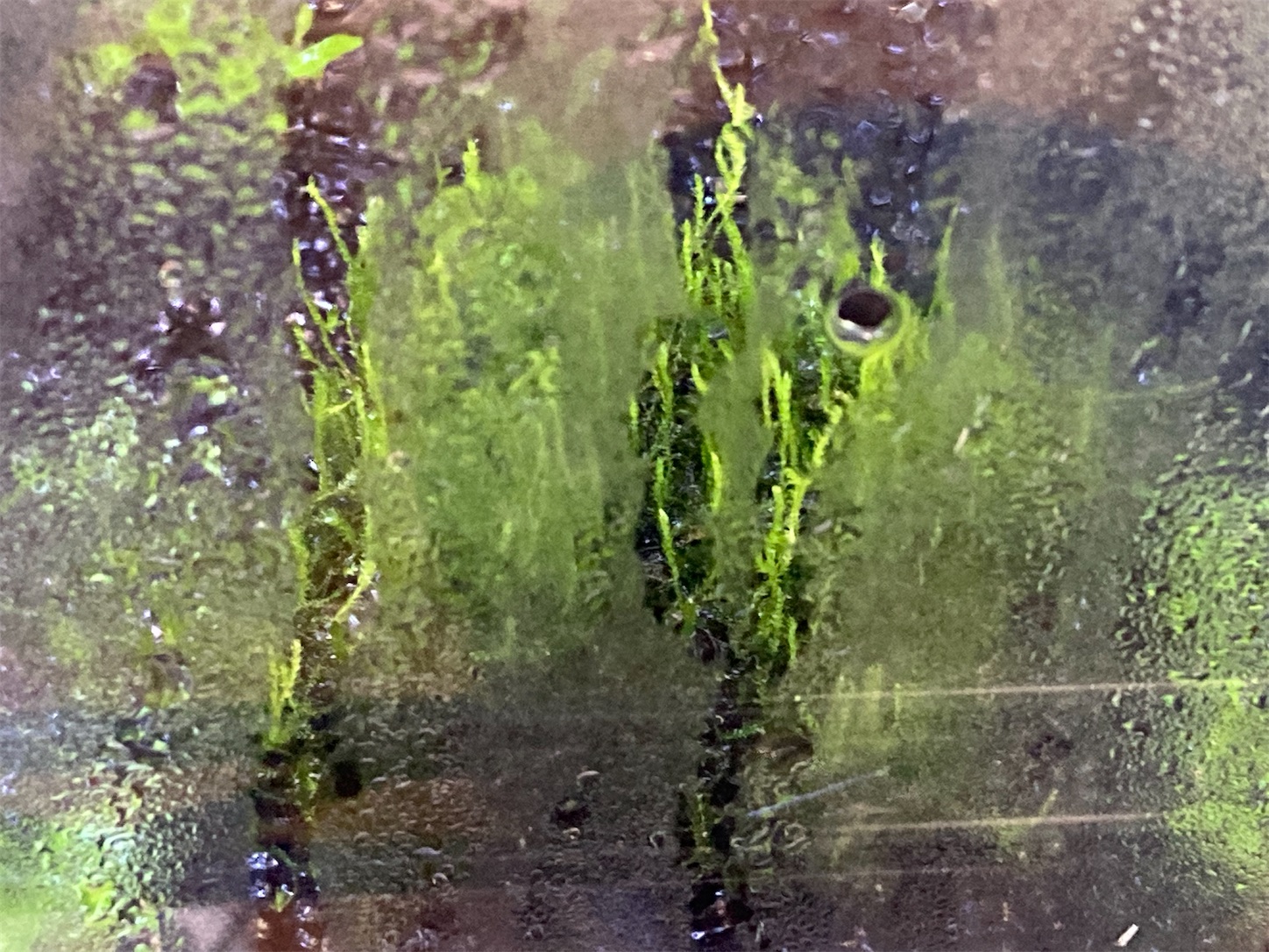 f:id:soocersunny32:20220525231624j:image