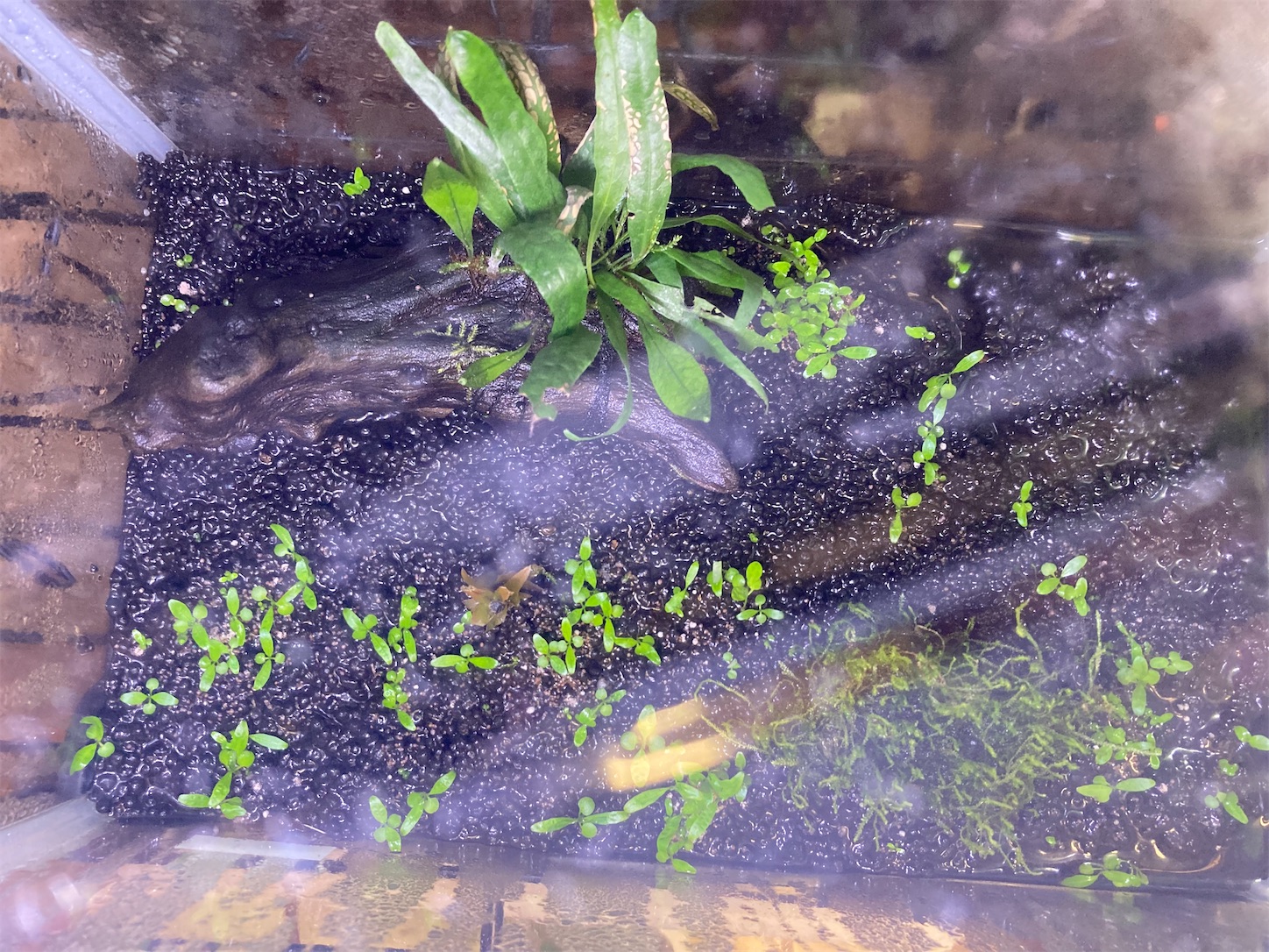 f:id:soocersunny32:20220526224932j:image