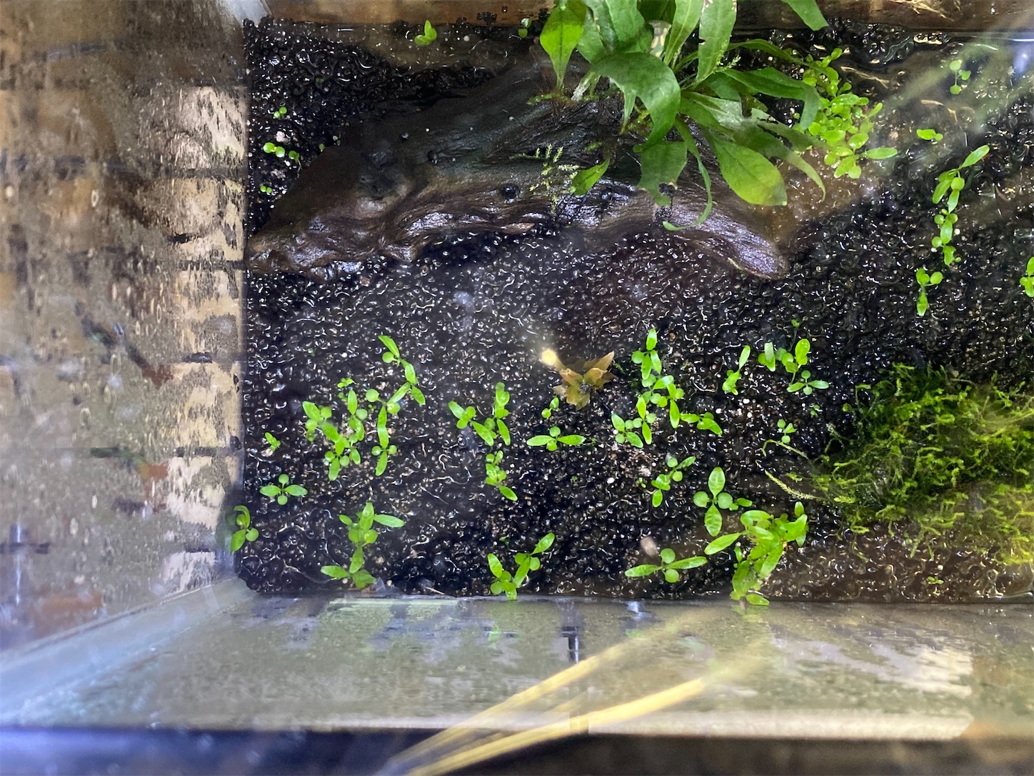 f:id:soocersunny32:20220526225111j:image