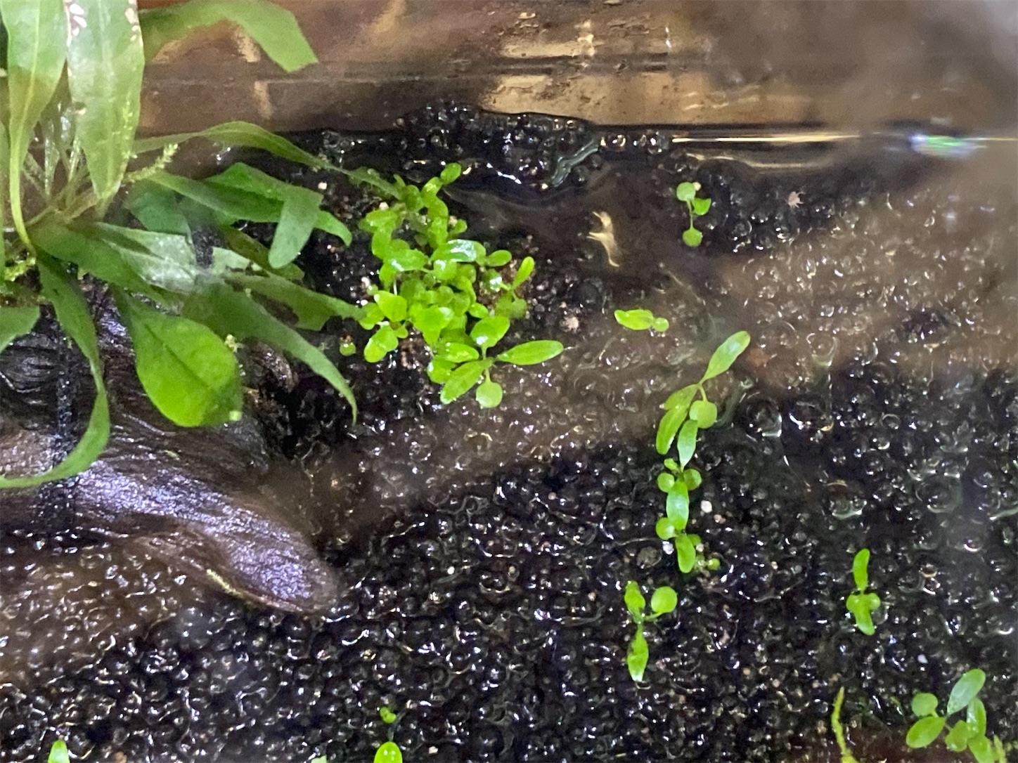 f:id:soocersunny32:20220526225124j:image