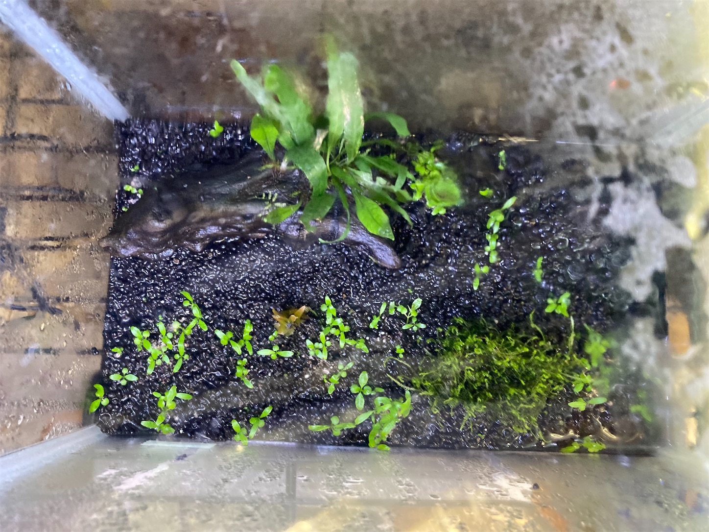 f:id:soocersunny32:20220527224846j:image