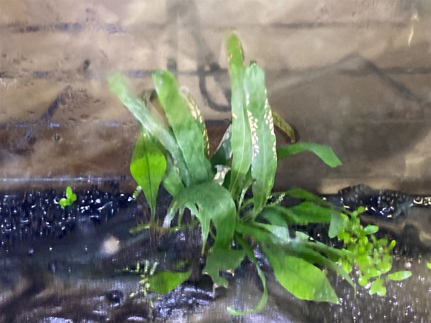 f:id:soocersunny32:20220527224908j:image