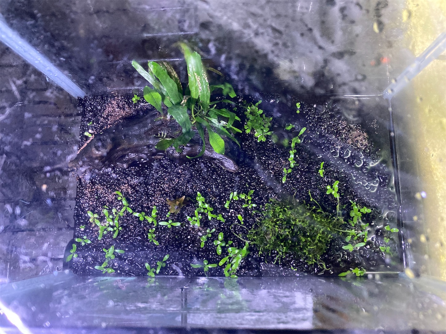 f:id:soocersunny32:20220528221422j:image