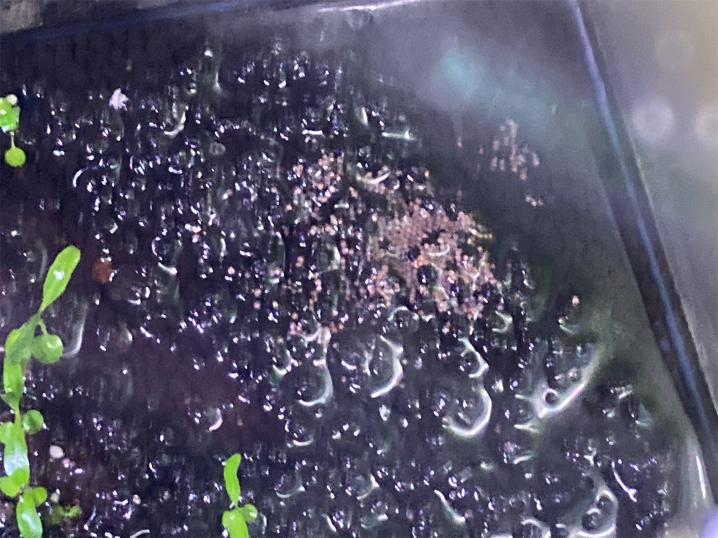 f:id:soocersunny32:20220528221445j:image