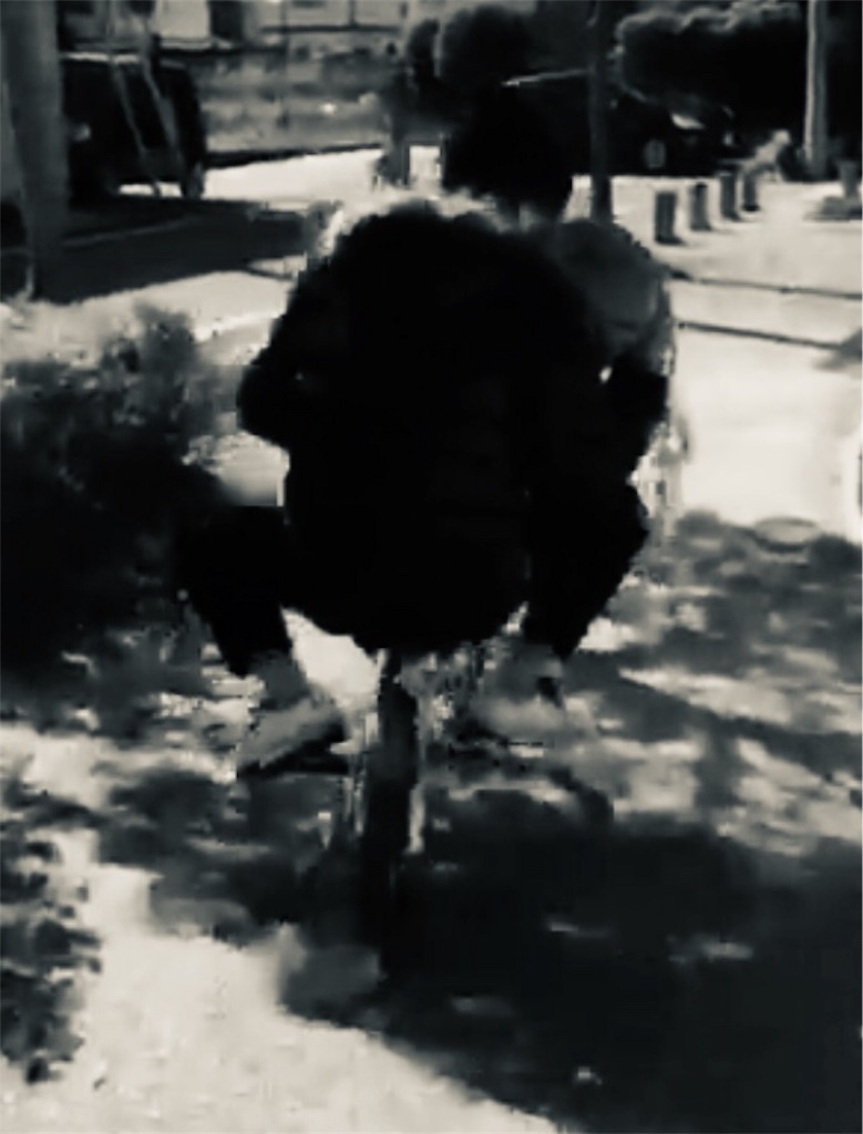 f:id:soooojirooodotcom:20190419211220j:image f:id:soooojirooodotcom:20190419211220j:image