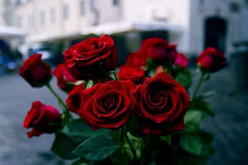 f:id:sooooocha:20170514010658j:plain