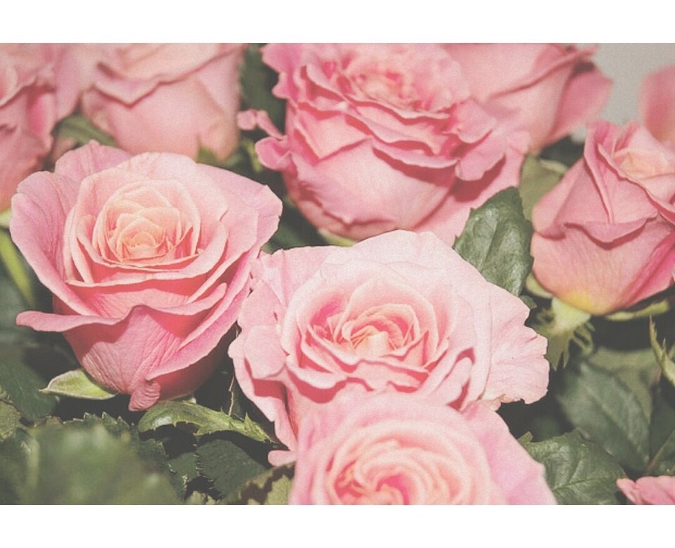 f:id:sooooocha:20180827212744j:plain