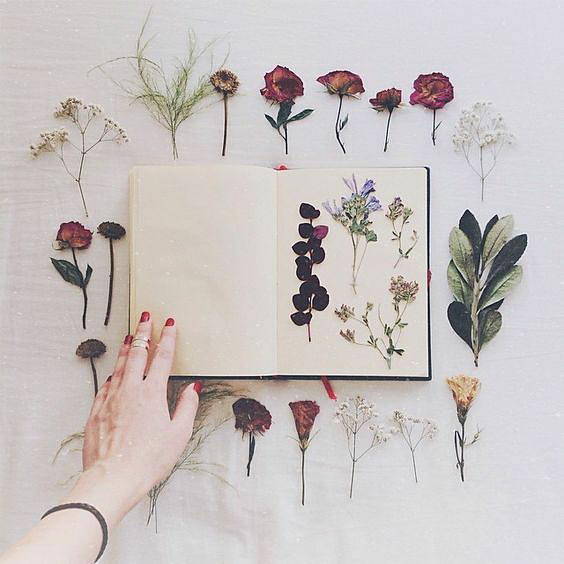 f:id:sooooocha:20181030222605p:plain