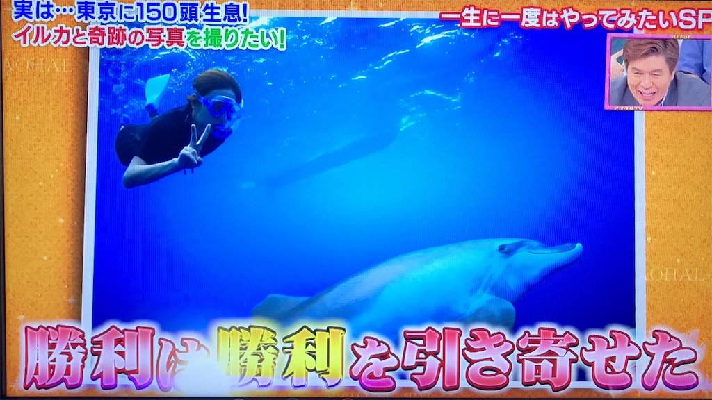 f:id:sooooochan:20190717003003j:image f:id:sooooochan:20190717003003j:image