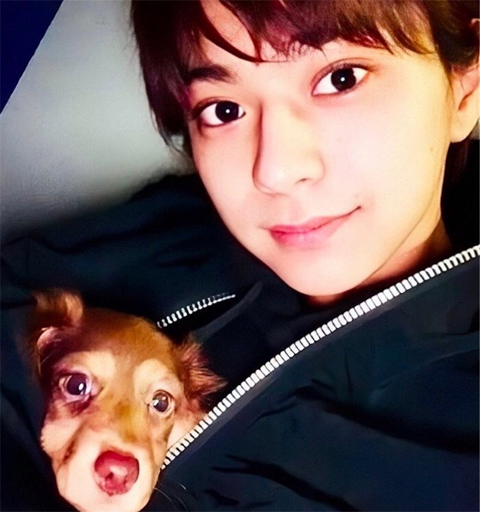 f:id:sooooochan:20190717003445j:image f:id:sooooochan:20190717003445j:image