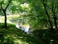 [寺社][金閣寺]境内風景