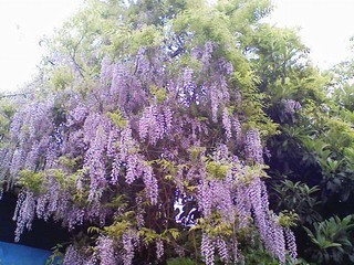 f:id:soorce:20080506221048j:image f:id:soorce:20080506221048j:image