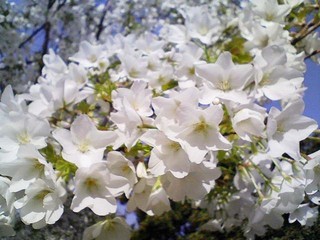 f:id:soorce:20080506221238j:image f:id:soorce:20080506221238j:image