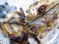 20100917230518